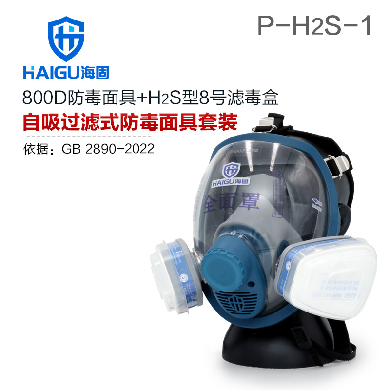 海固800D全面罩+P-H2S-1硫化氢滤毒盒+N2190滤棉+T形滤棉盖 防尘防毒套装