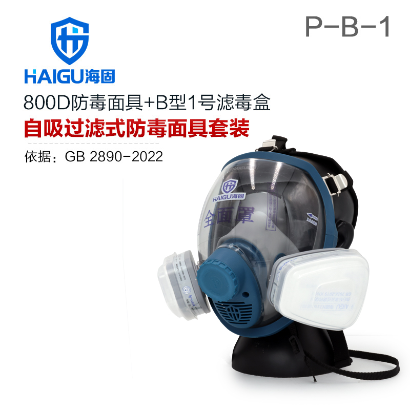 海固800D全面罩+P-B-1无机气体滤毒盒+N2190滤棉+T形滤棉盖 防尘防毒套装