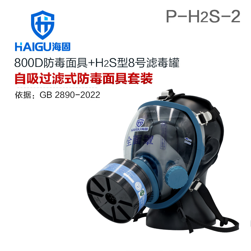 海固800D全面罩+HG-ABS/P-H2S-2滤毒罐 硫化氢活性炭防毒面具