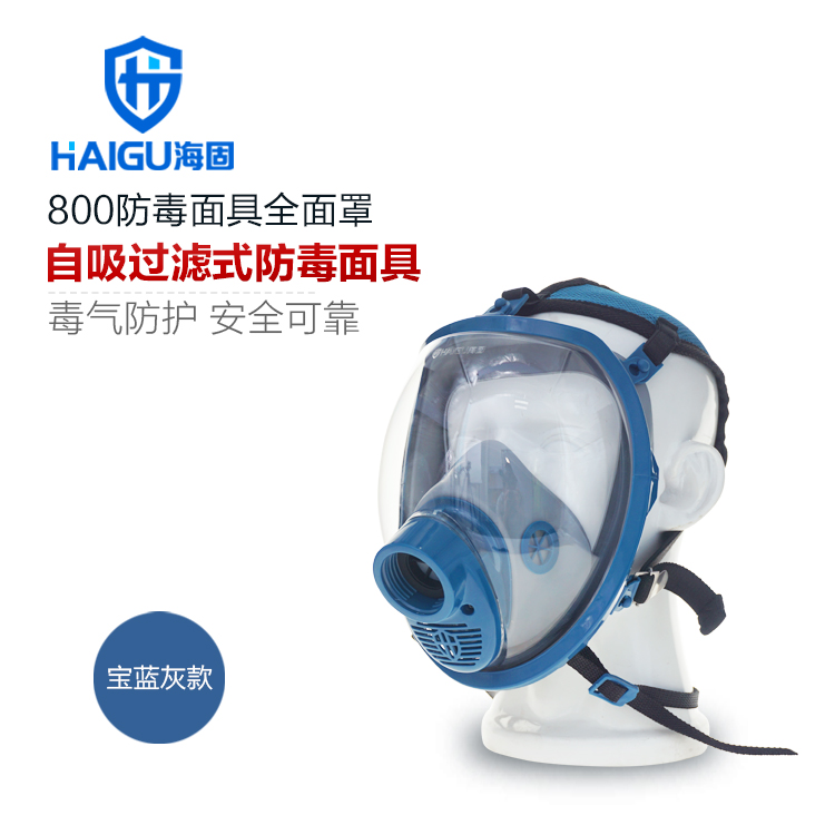 HG800防毒面罩全面罩