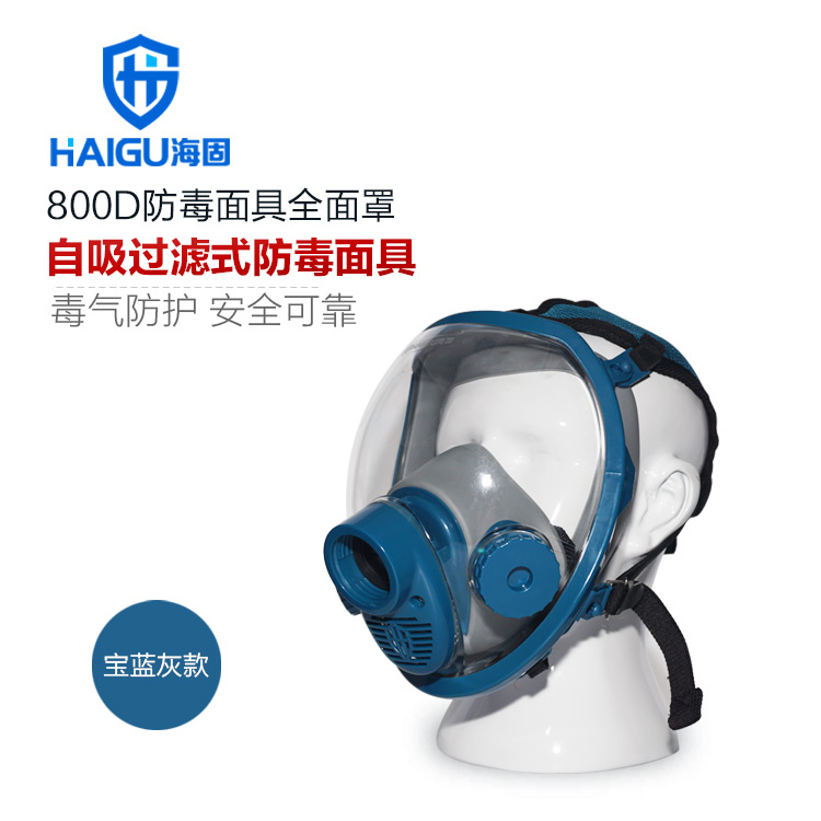 HG800D防毒面罩全面罩