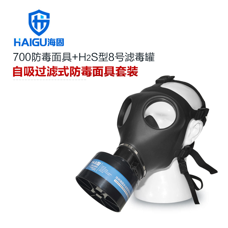 海固700全面罩+HG-ABS/P-H2S-2滤毒罐 硫化氢活性炭防毒面具