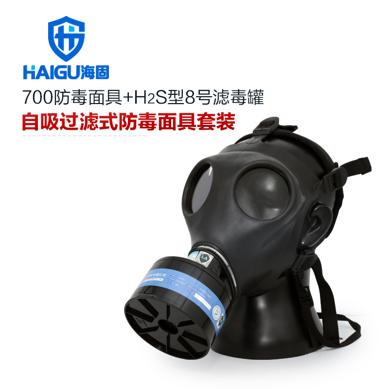 海固700全面罩+HG-ABS/P-H2S-2滤毒罐 硫化氢活性炭防