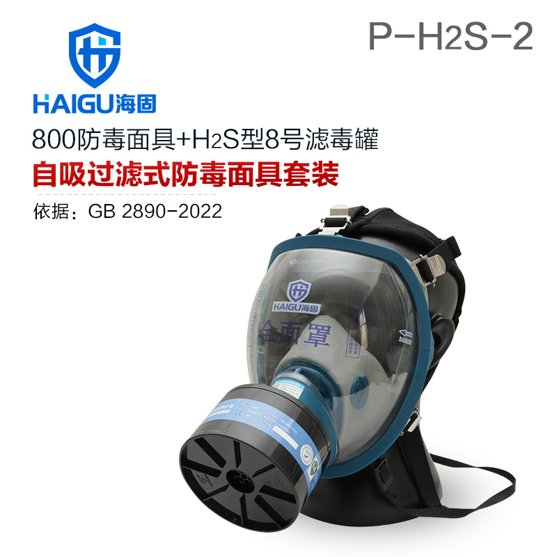 海固800全面罩+HG-ABS/P-H2S-2滤毒罐 硫化氢活性炭防毒面具