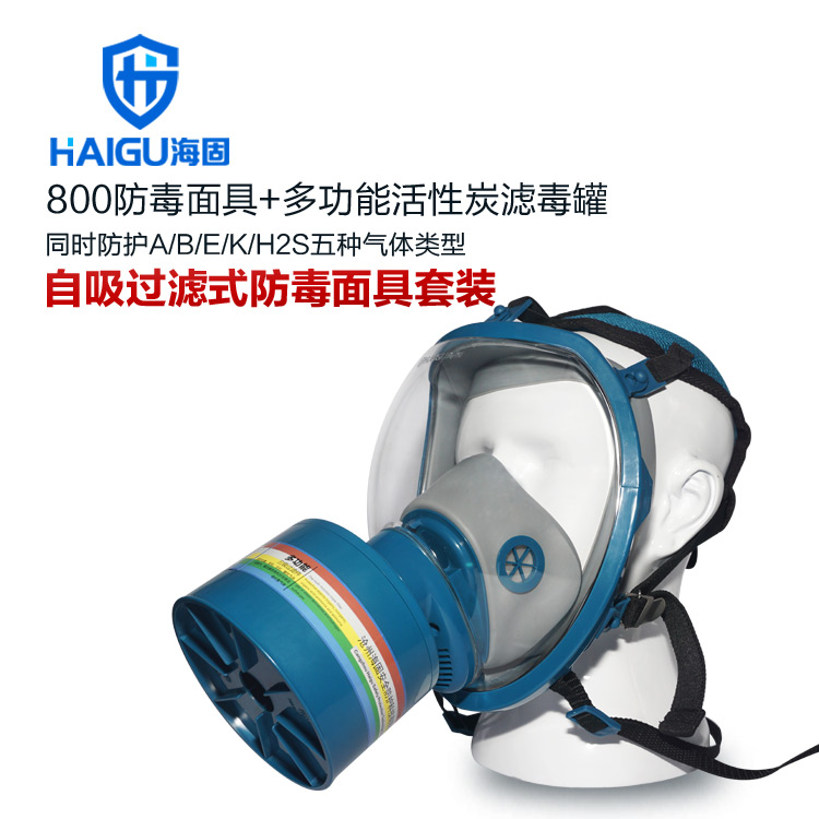 海固800全面罩+HG-ABS/D1-3滤毒罐 综合防毒气 活性炭防毒面具