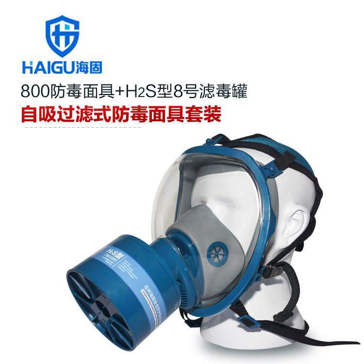 海固800全面罩+HG-ABS/P-H2S-3滤毒罐 硫化氢活性炭防毒面具