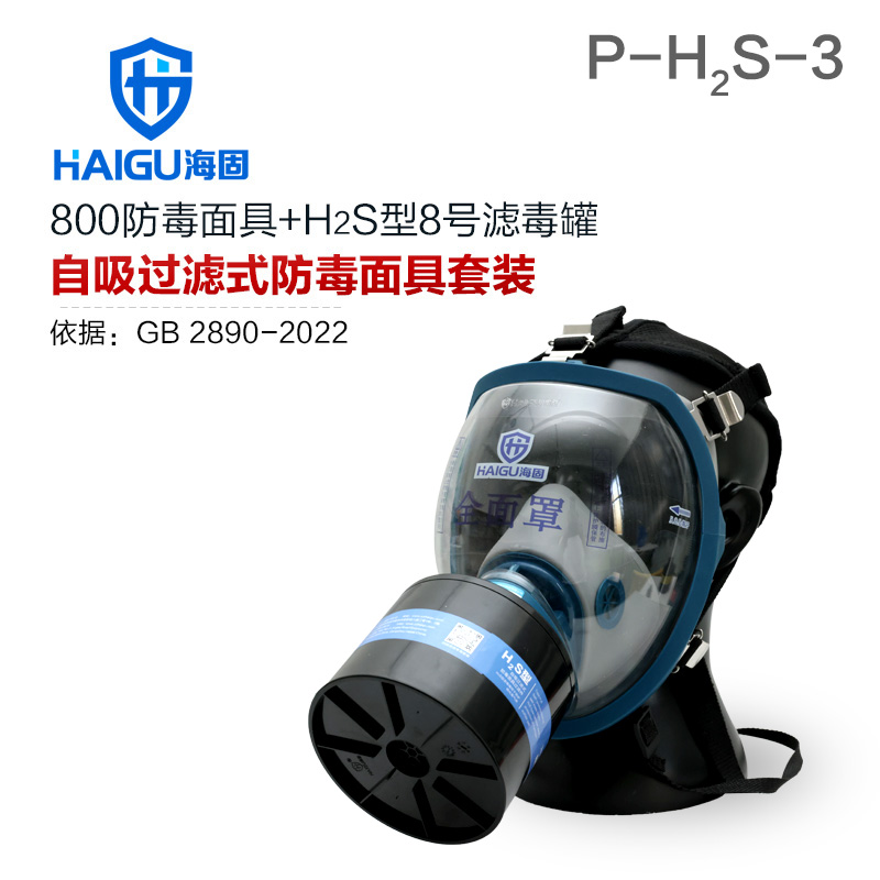 海固800全面罩+HG-ABS/P-H2S-3滤毒罐 硫化氢活性炭防毒面具