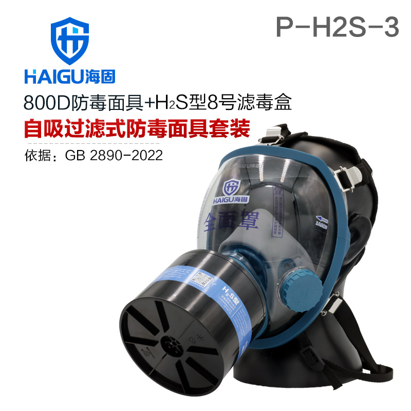 海固800D全面罩+HG-ABS/P-H2S-3滤毒罐 硫化氢活性炭防毒面具